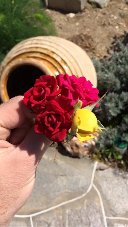 Rose Home Apollonia  Luaran gambar